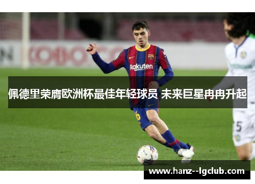 佩德里荣膺欧洲杯最佳年轻球员 未来巨星冉冉升起 佩德里荣膺欧洲杯最佳年轻球员 未来巨星冉冉升起